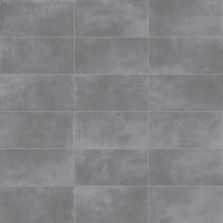 EnergieKer Loft keramische vloertegel betonlook gerectificeerd 30 x 60 cm grey