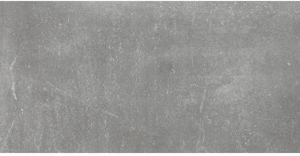 Fap Ceramiche wand- en vloertegel 30x60cm 10mm Rechthoek gerectificeerd Natuursteen look Grijs Mat SW07310486-1