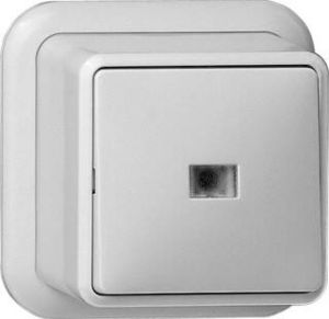 GIRA opbouw 1-voudig kunststof opbouw wissel schakelaar controle verlichting wit (RAL9010)