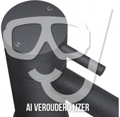 Hotbath Cobber afbouwdeel inbouwdouchemengkraan met doucheslang en handdouche verouderd ijzer - Foto 3