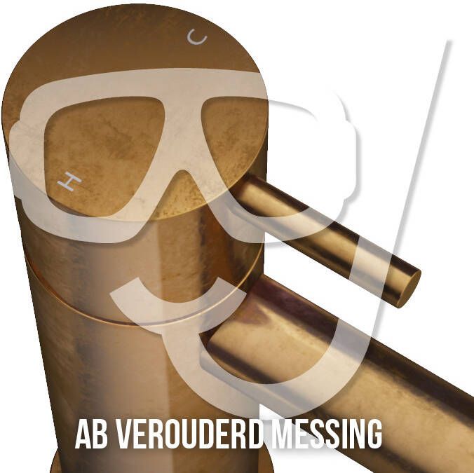 Hotbath Toiletborstelgarnituur Cobber Vrijstaand Verouderd Messing Living Colours - Foto 2