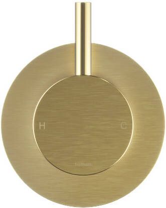 Hotbath Cobber Fonteinkraan opbouw L-uitloop 8.5cm PVD geborsteld messing E001BBP