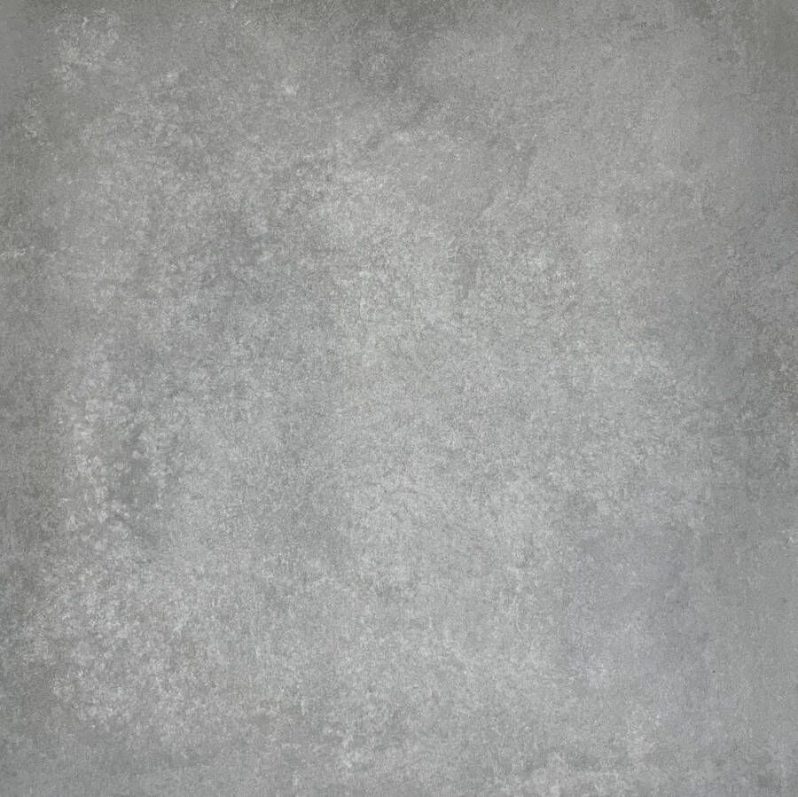 Baldocer Ceramica Grafton wand- en vloertegel 120x120cm 10mm Vierkant gerectificeerd Betonlook Grijs mat SW07310901-2