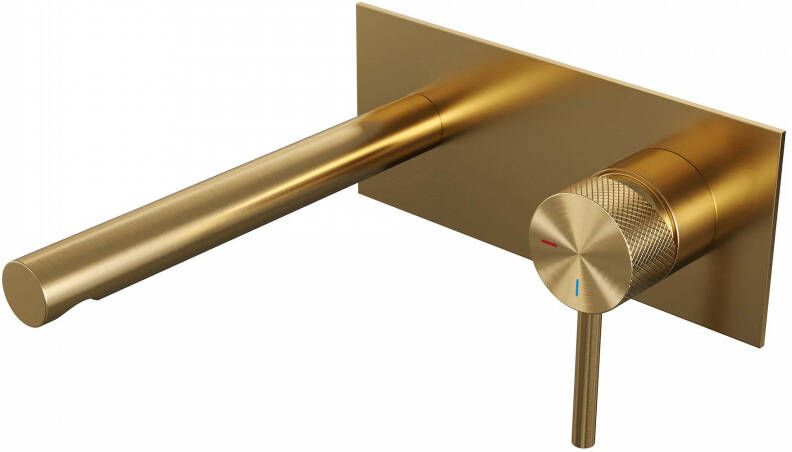 Brauer Inbouw Wastafelmengkraan Gold Carving Coldstart Rechte Uitloop Ronde Hendel Rechts Geborsteld Goud PVD Met Afdekplaat