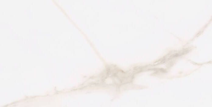 Cifre Ceramica Diamond Gold wand- en vloertegel 30x60cm 10mm Rechthoek gerectificeerd Natuursteen look Wit glans SW07310960 - Foto 3