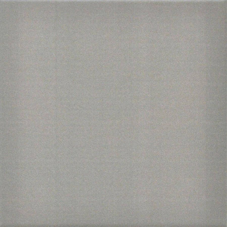 Cifre Ceramica wand- en vloertegel 20x20cm 8.5mm Vierkant Grijs mat SW07310470-3