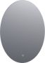 BRAUER Select Spiegel ovaal 60x80cm geborsteld aluminium zijden LED verlichting touchscreen schakelaar 3991 - Thumbnail 3