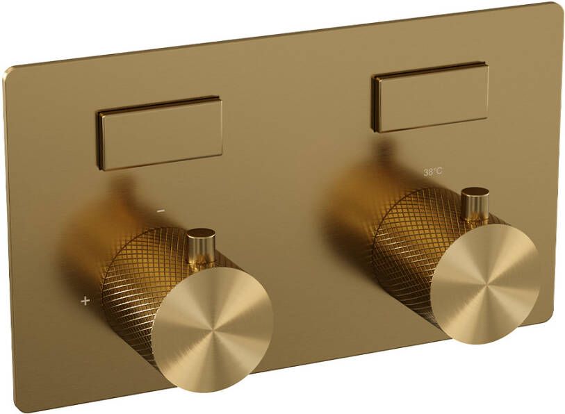 Brauer Gold Carving thermostatische inbouw regendouche met drukknoppen SET 49 met 20 cm douchekop en rechte muurarm en staaf handdouche en doucheslang en wandaansluitbocht goud geborsteld PVD