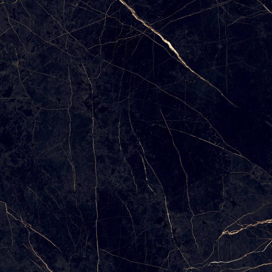 Flaviker Supreme Evo tegel 120x120cm Noir Laurent glans