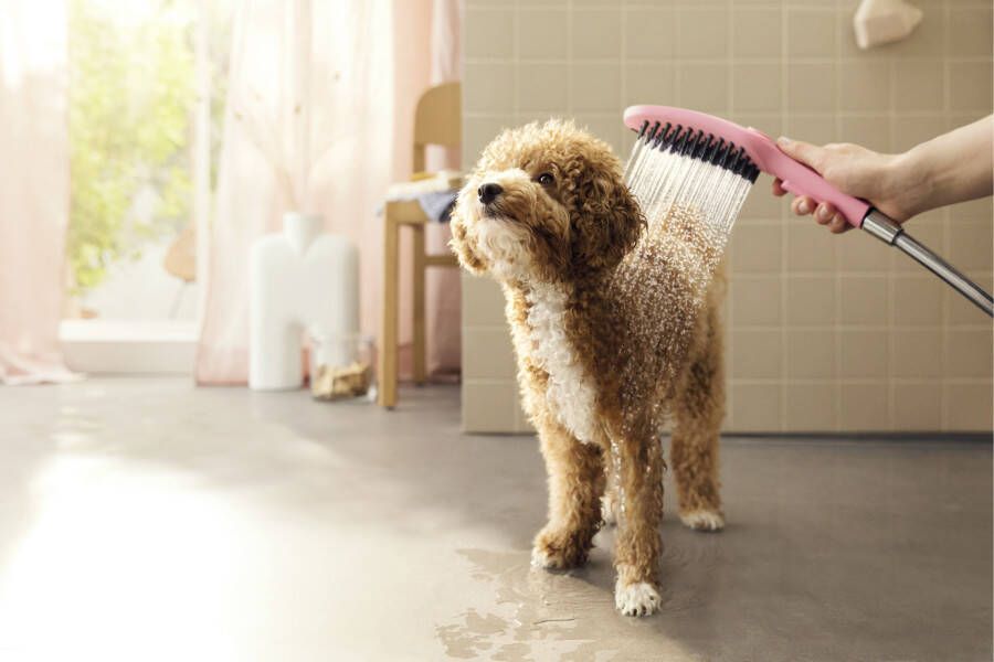 Hansgrohe DogShower handdouche voor de hond 150 3jet met massagenoppen Pink