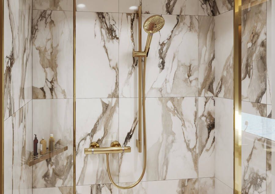 Hansgrohe Unica glijstang S puro 65 cm met doucheslang Polished Gold Optic