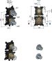 Hotbath Cobber CB7009 inbouw thermostaat 2-weg omstel horizontaal verticaal Mat Zwart - Thumbnail 2