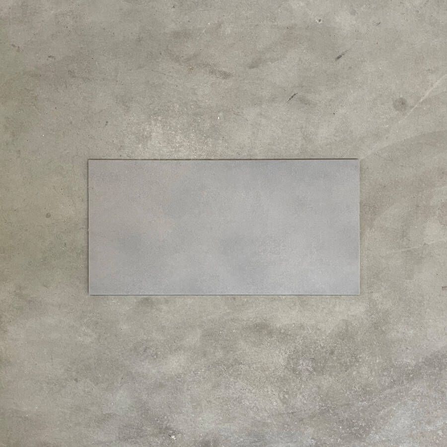 Sphinx Tegels Main 2.0 tegel 60x60 Middengrijs