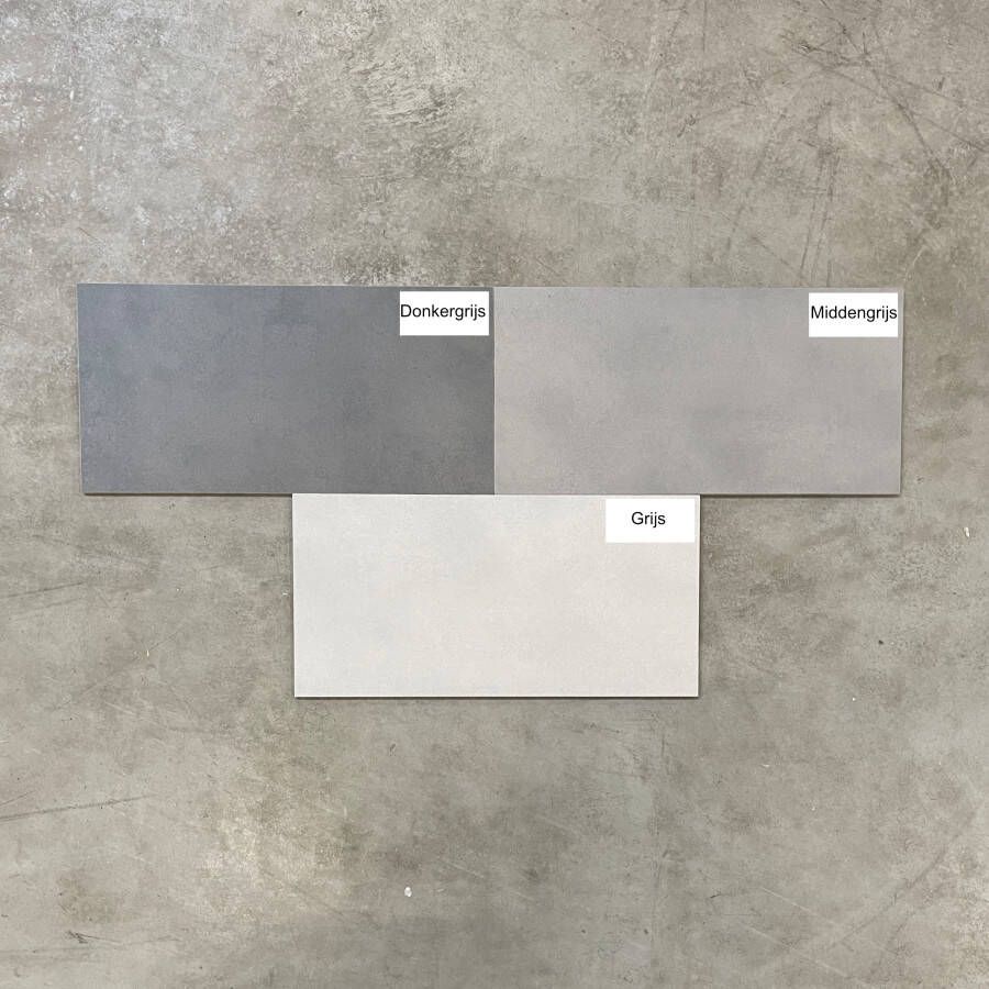 Sphinx Tegels Main 2.0 tegel 60x60 Middengrijs