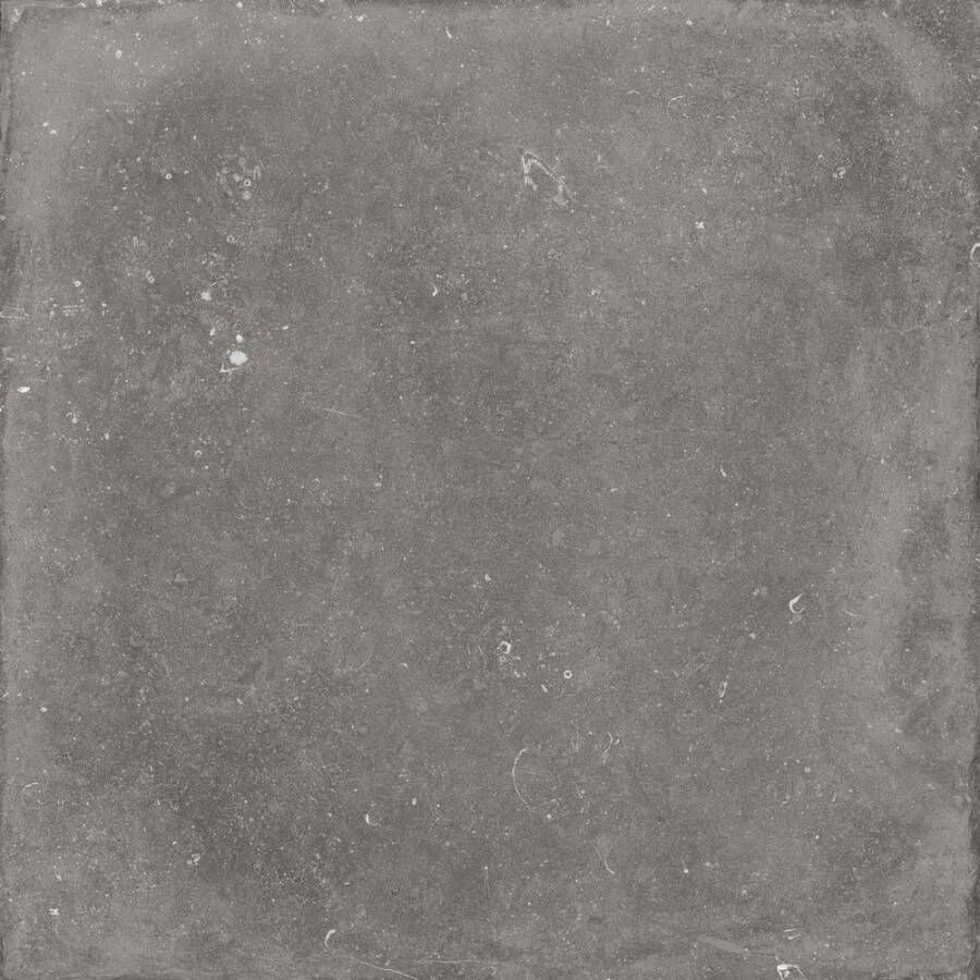 Flaviker Nordik Stone tegel 120x120cm grey