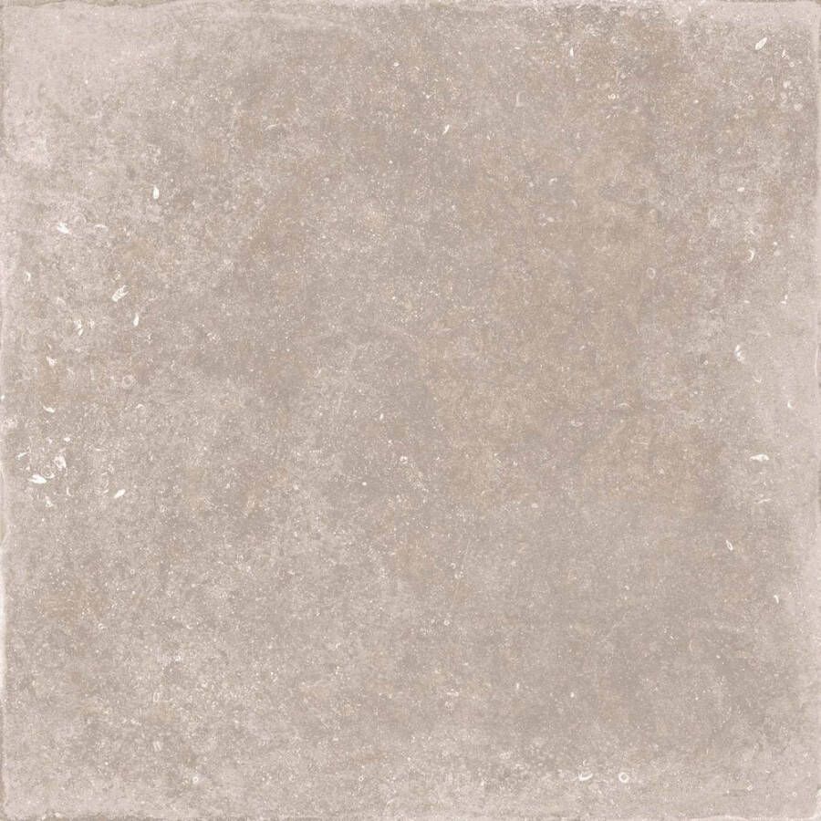 Flaviker Nordik Stone tegel 120x120cm sand