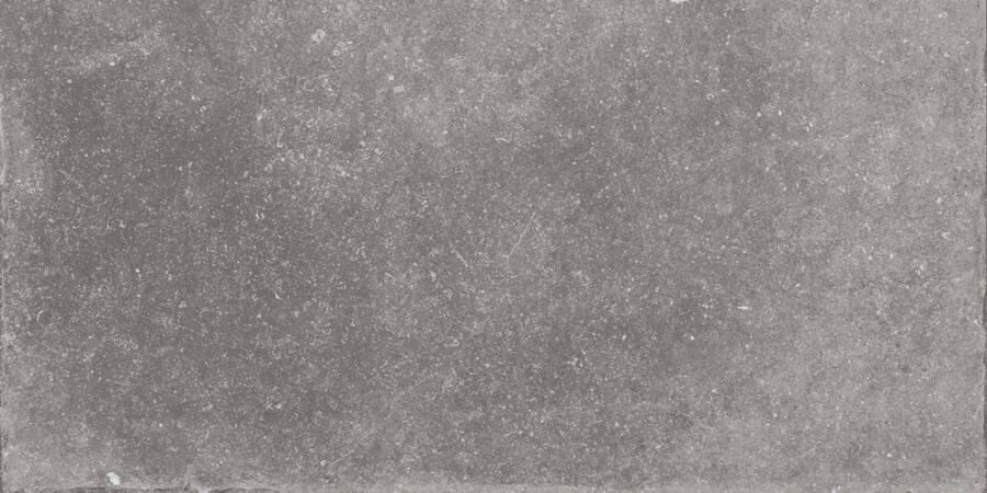 Flaviker Nordik Stone tegel 60x120cm grey