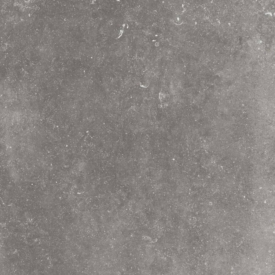 Flaviker Nordik Stone tegel 90x90cm grey