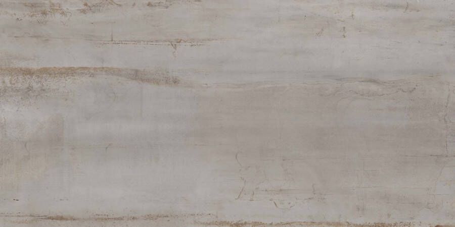 Navale Jolie vloertegel zilver 60x120 gerectificeerd - Foto 2