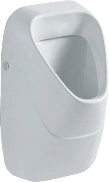 Geberit 300 urinoir met achterinlaat 34x34cm inclusief KeraTect wit s8601800001g