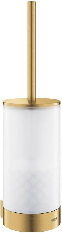 GROHE Selection closetborstelgarnituur wandmontage ronde buis met inzet hxbxd 383x100x108mm hard graphite geborsteld - Foto 2