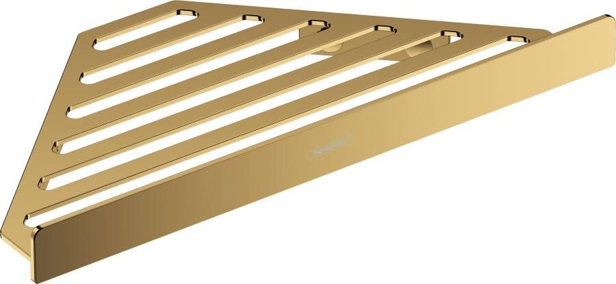 Hansgrohe AddStoris doucherek 14 8x14 8x2 6cm polished gold optic