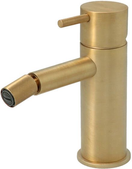 Hotbath Cobber bidetkraan 14 3 cm hoog met rechte uitloop van 10 9 cm geborsteld messing