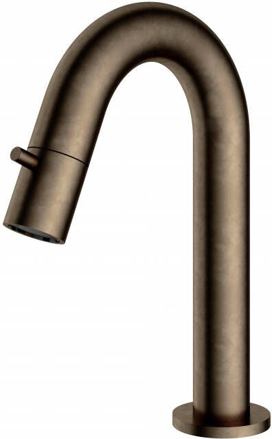 Hotbath Fonteinkraan Dude 1-knop gebogen 19.3 cm Rond Verouderd Messing Living Colours - Foto 2