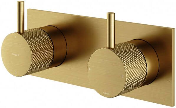 Hotbath Cobber X afbouwdeel voor inbouw mengkraan met 2-weg omstel 7 x 18 cm geborsteld messing PVD