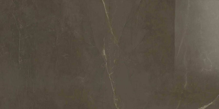 Marazzi Allmarble tegel 60x120cm Pulpis glans