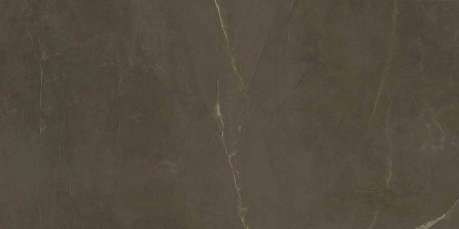 Marazzi Allmarble tegel 60x120cm Pulpis mat