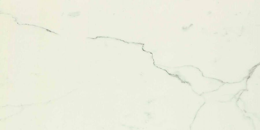 Marazzi italie Allmarble Vloertegel | 60x120 cm | Gerectificeerd | Glans Wit - Foto 5