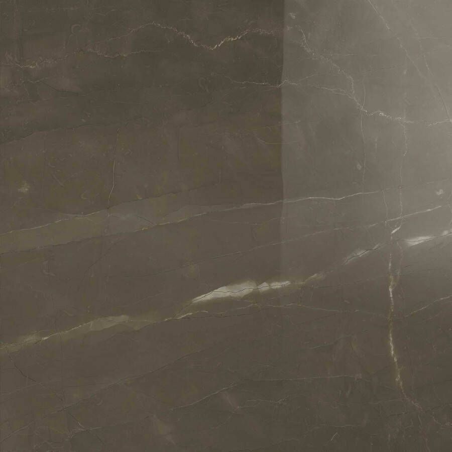 Marazzi Allmarble Vloertegel 60x60cm 10.5mm vorstbestendig gerectificeerd Pulpis Glans