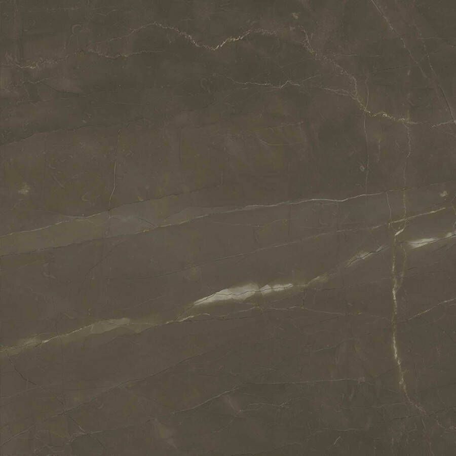 Marazzi Allmarble tegel 60x60cm Pulpis mat