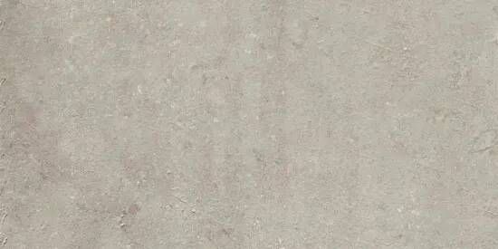 Serenissima Promenade Vloertegel 60x120cm 10mm vorstbestendig gerectificeerd Argento Mat 1627704