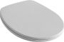 VILLEROY&BOCH Villeroy&amp Boch Omnia classic closetzitting met deksel scharnier RVS kleur wit - Thumbnail 4