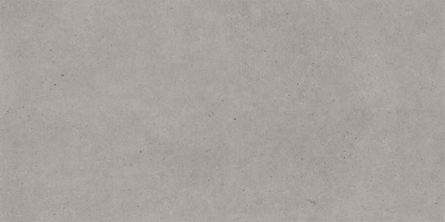 Villeroy & Boch Solid Tones tegel 30x120cm Cool Concrete