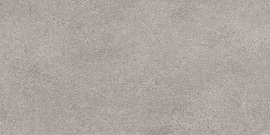 Villeroy & Boch Solid Tones tegel 30x120cm Cool Stone