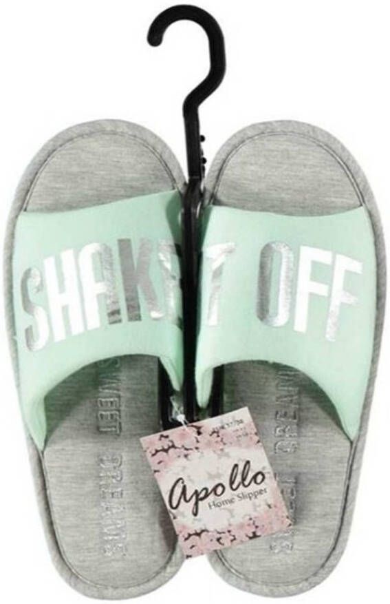 Apollo Open sloffen pantoffels slippers mint grijs voor dames 41-42 Sloffen volwassenen