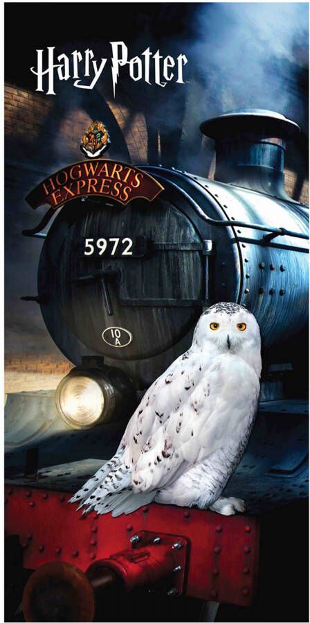 Harry Potter Strandlaken Hedwig 70 x 140 cm Katoen