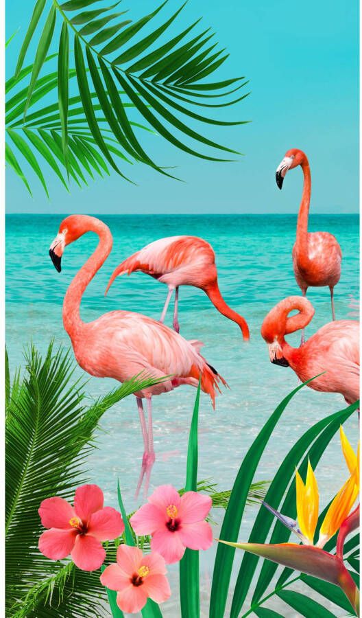 Good Morning strandlaken Flamingo 100 x 180 cm velours