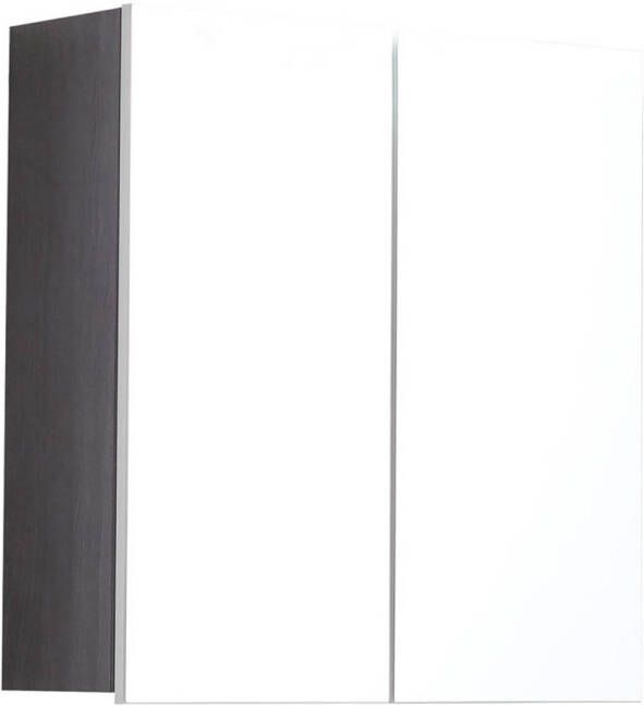 Hioshop LineSkin spiegelkast 2 deuren rookzilver spiegelglas.
