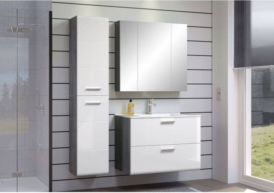 Hioshop Riva badkamer E met spiegelkast decor rookzilver wit hoogglans.