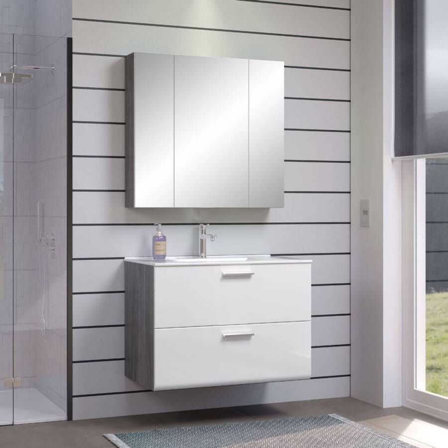 Hioshop Riva badkamer F met spiegelkast decor rookzilver wit hoogglans.