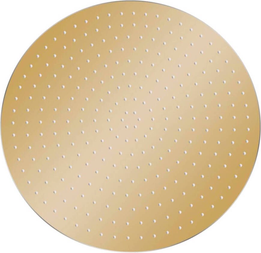 The Living Store Douchekop Rond 40 cm Goud Anti-kalksproeiers 234 sproeigaten