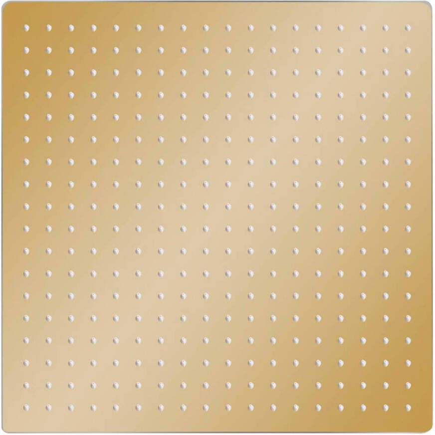 The Living Store Douchekop Vierkant 50 x 50 cm Goud RVS en Siliconen Anti-kalksproeiers