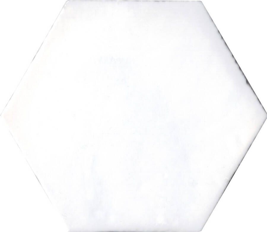 Alcoceram hexagon tegel Manual Exagono 10X11 5 Mate Blanco