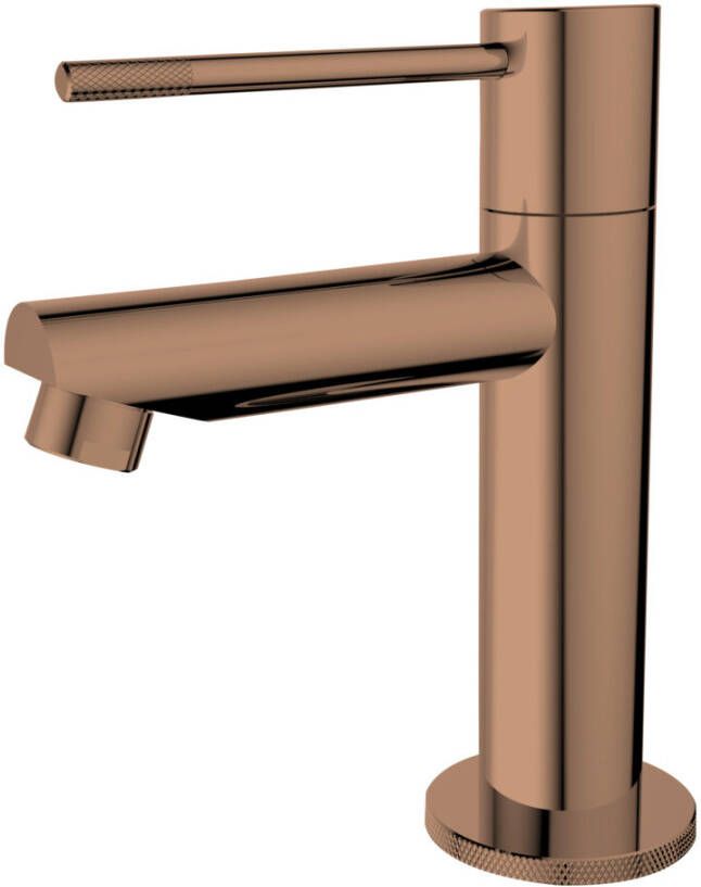 Best Design Toiletkraan Dijon-Ribera Uitloop Recht 14 cm 1-hendel PVD Glans Brons