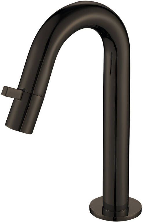 Best Design Moya Dimora toiletkraan keramisch binnenwerk 21cm Gunmetal 4009400