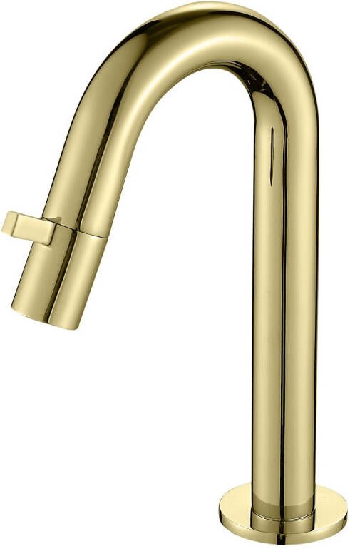 Best Design Nancy Macine toiletkraan keramisch binnenwerk 21cm goud mat 4009380